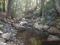 DSCN2674 (1)